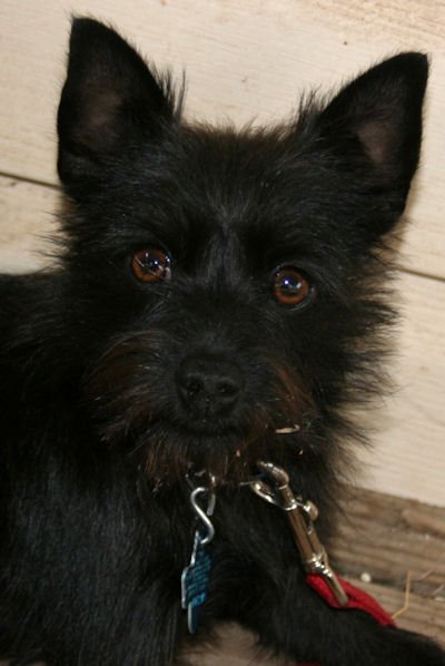 sasha008-400