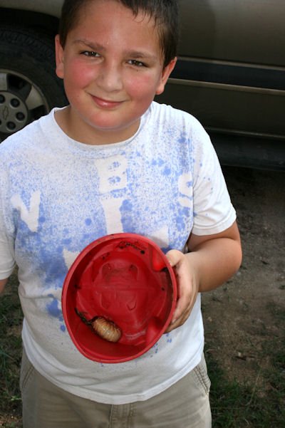 leegrub